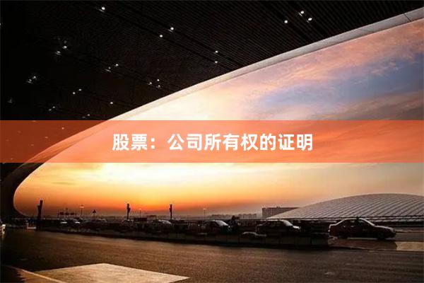 股票：公司所有权的证明