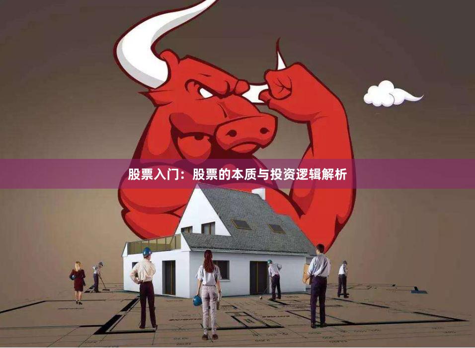 股票入门：股票的本质与投资逻辑解析