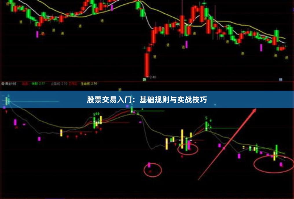 股票交易入门:基础规则与实战技巧